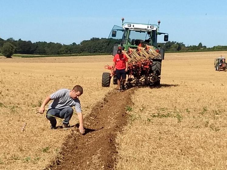 Le concours de labour, où l'art de travailler le sol.