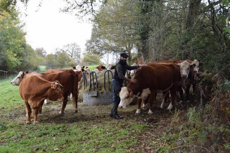 Pierre-Antoine Raimbourg a misé sur une race rustique pour un élevage au maximum en herbe.