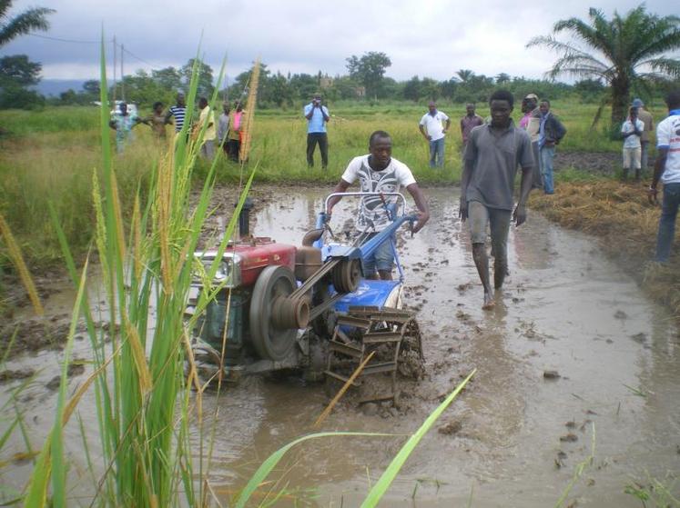 Afdi accompagne les agriculteurs togolais. La mécanisation est un point sur lequel les réflexions sont nombreuses.