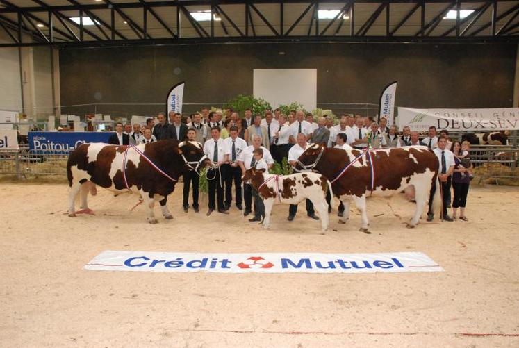 Photo de famille avec les plus beaux spécimens de la race.