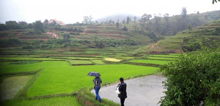 À Madagascar, près de 400 000 jeunes intègrent chaque année le secteur agricole.