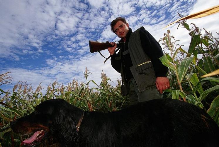 Les amateurs de lapins doivent faire face à une diminution des populations, à cause des maladies principalement, 
« malgré l’encouragement à installer des garennes artificielles ».
