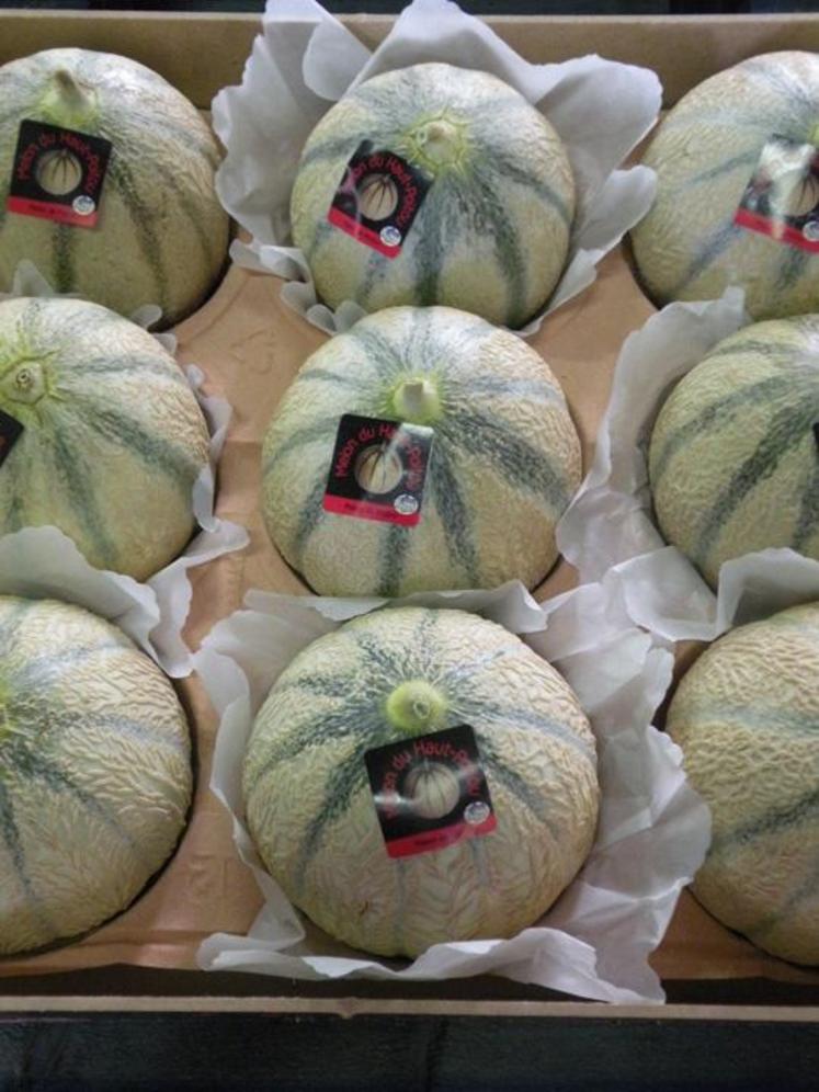 Les conditions fraîches du printemps n’ont pas été favorables au démarrage des cultures.