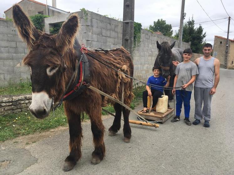 Lors du national des races poitevines, au cours des épreuves d’attelage, Théo mènera Eliote du Genet, Yoann guidera Eros du Genet. Cette participation à une épreuve officielle est la première pour la famille Brisson.