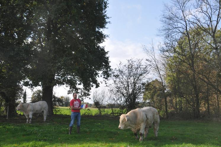 Charolais, Julien Bonnet