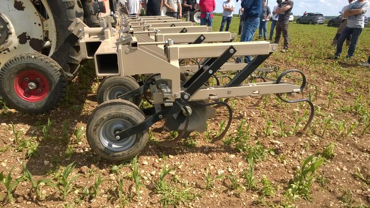 Désherbage mécanique, Deux-Sèvres, agriculture