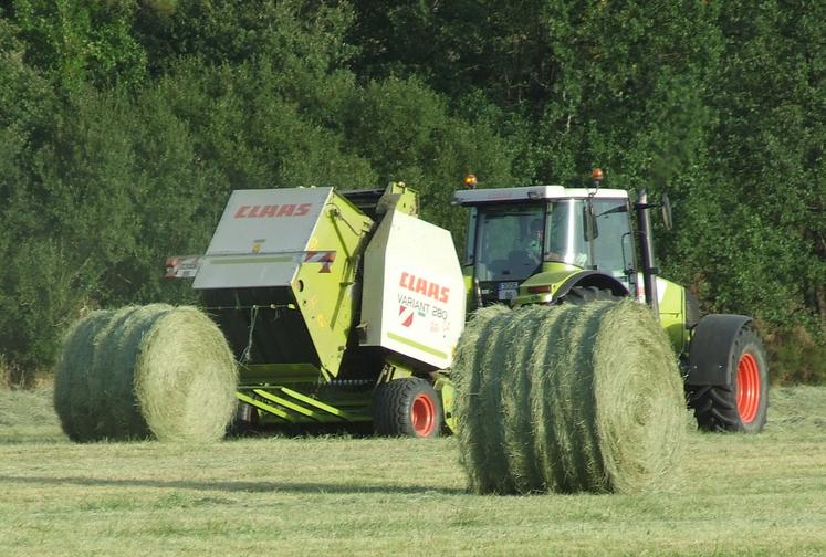 Agriculture, foin, Deux-Sèvres, botteleuse, chantier