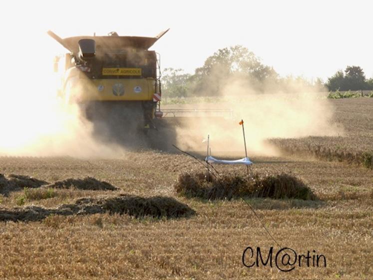 Les agriculteurs peuvent aussi appeler les référents locaux s’ils aperçoivent un nid avant les moissons.