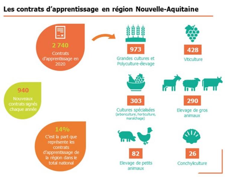 Contrats d'apprentissage en Nouvelle-Aquitaine, formation, agriculture, Deux-Sèvres
