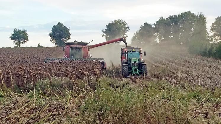 Récolte , Agriculture, Tournesol, Deux-Sèvres, 2021.