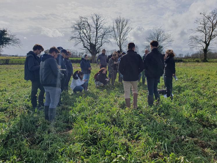 Étudiants, partenaires et agriculteurs ont participé à trois ateliers : couverts végétaux, fosse pédologique, semis direct et techniques de destruction.