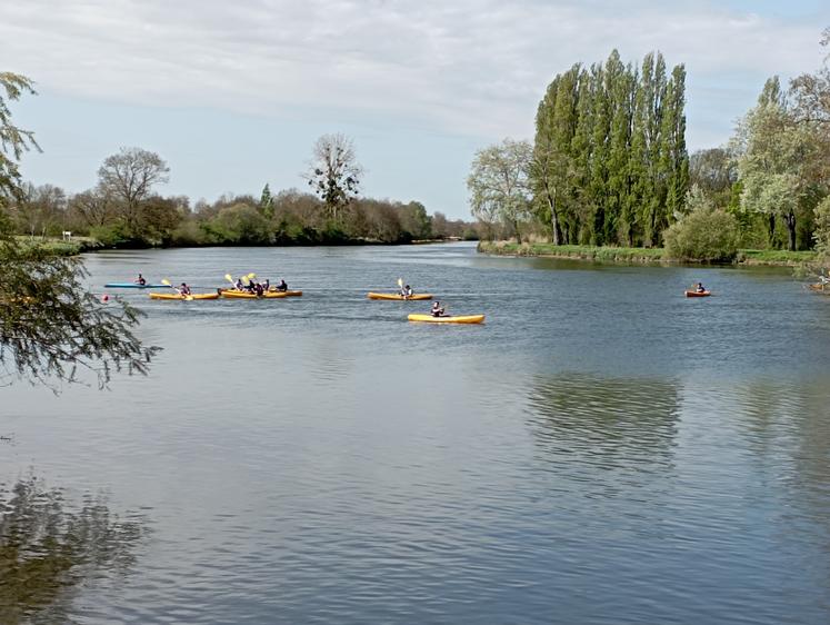 Canoës sur le fleuve Charente près de Saint-Savinien. (Photo d'archives)