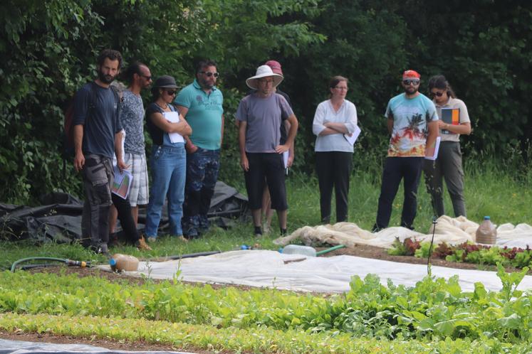 À Marsac, Fabienne et Dan Alligan sont au cœur d’un mini-village bio, entouré d’autres exploitants également en agriculture biologique.