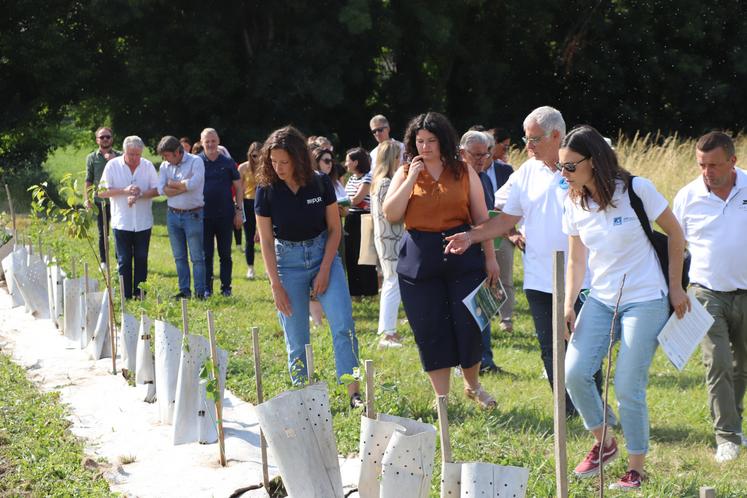 Les plants sont essentiellement des essences locales prévues pour résister aux inondations des prairies en bord de Charente et au changement climatique.