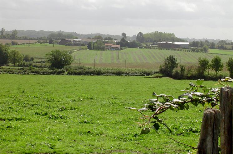 Deux-Sèvres, Nouvelle Aquitaine, paysage, haies, exploitation agricole