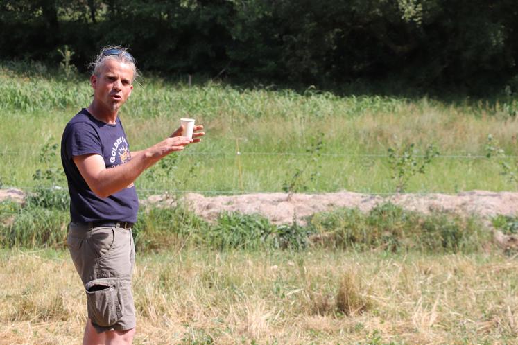 Julien Maulévrier, éleveur des "Salers du Masmayoux" à Alloue, a présenté ses parcelles agroforestières