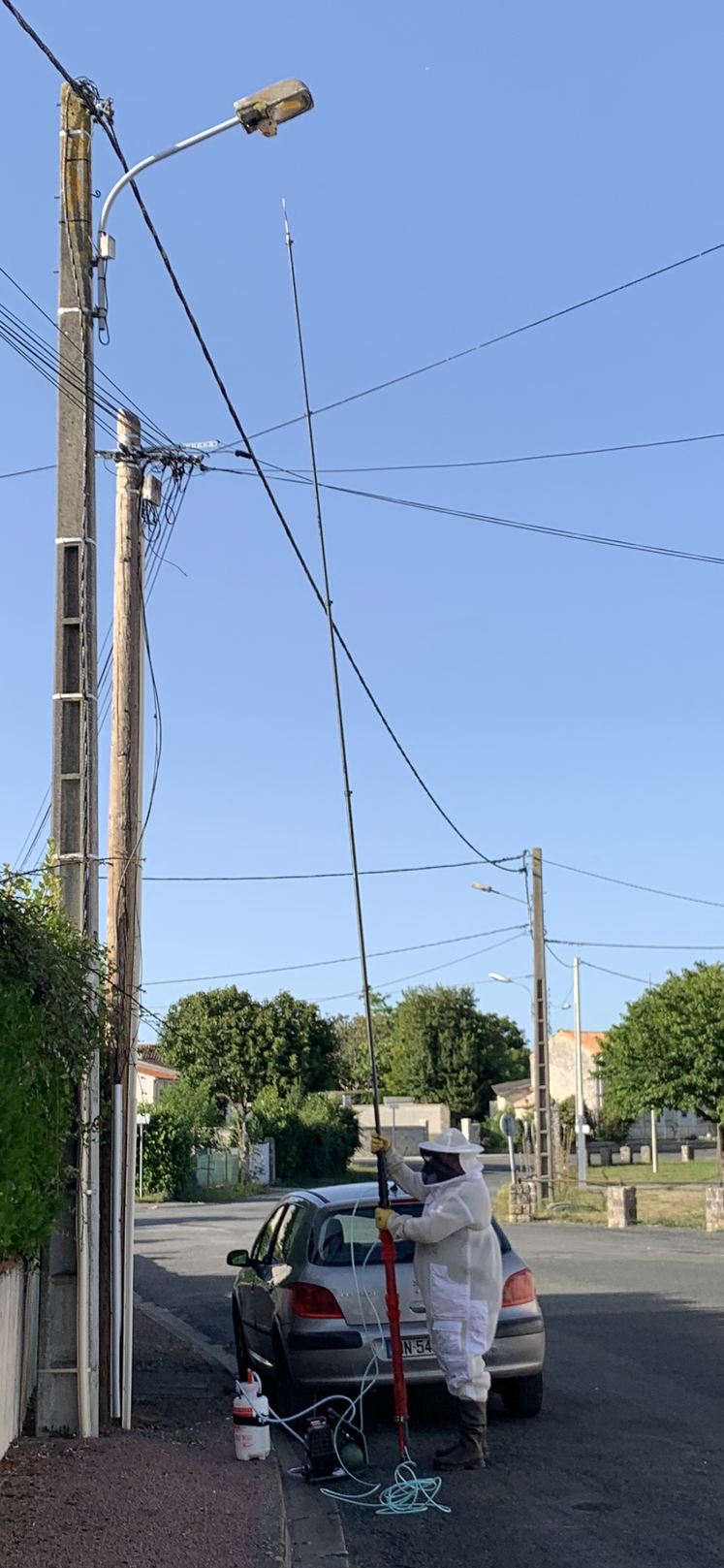 Les techniciens de la Fredon Charente-Maritime interviennent jusqu'à 18 m de hauteur contre les nids de frelons.