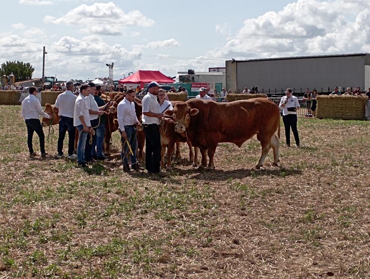 La Fête de la Terre 2023 a été l'occasion de la tenue d'un concours de bovins de race limousine, une première dans le département depuis 2017.