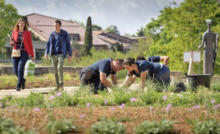 Un Projet Pilote Pour Développer La Biodiversité En Entreprise ...