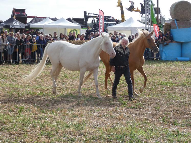 Les chevaux étaient également à l'honneur à travers le spectacle proposé par l'Élevage des Dieux, de St-Hippolyte.