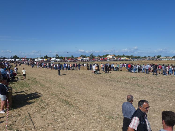 Un public nombreux était présent pour assister aux courses de moissonneuses-batteuses.