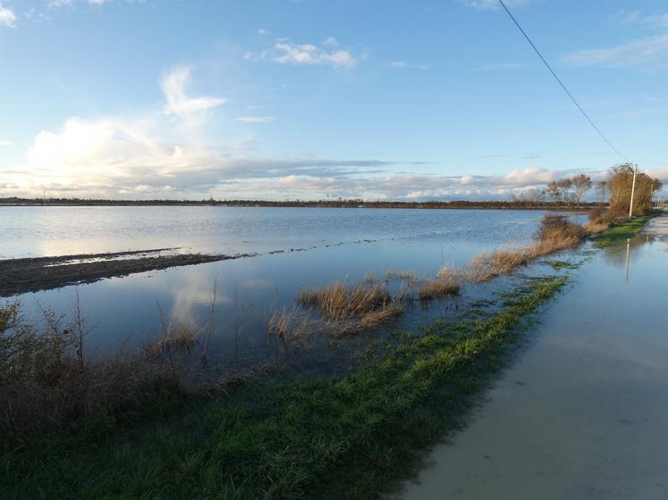 De nombreuses parcelles sont sous les eaux, comme ici le 7 novembre à Marans.