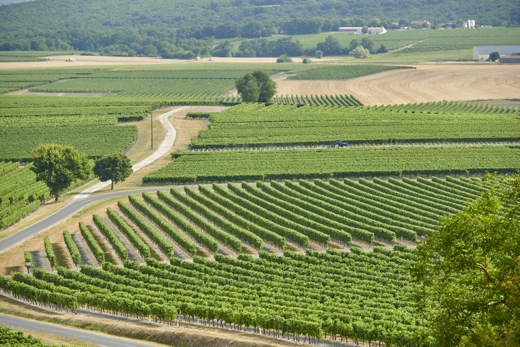 Le rendement annuel maximum autorisé fixé à la baisse doit permettre de reconstituer de la réserve climatique, espèrent le BNIC et l'UGVC.