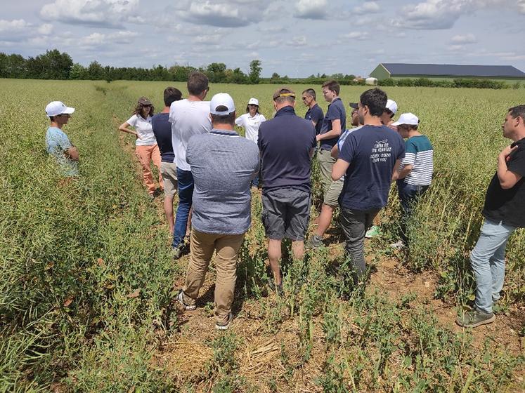 Pour démultiplier les connaissances, les expérimentations de Charente-Maritime ont été visitées le 16 mai 2022. Moment d’échanges avec les acteurs techniques, pour observer au champ les différences entre les modalités testées.