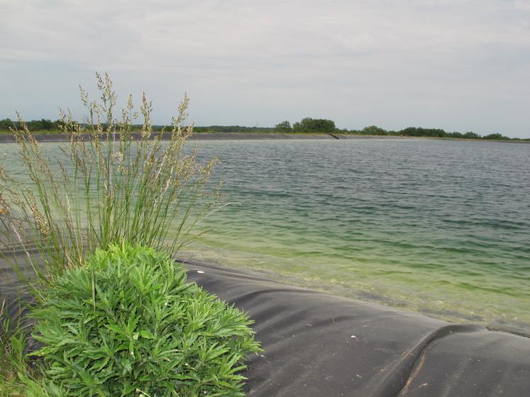  Les mesures préfectorales visent à éviter des débordements qui pourraient se traduire par de nouvelles destructions de réserves (ici le bassin de la Clouère, affluent du Clain, sur la commune de Marnay dans la Vienne).