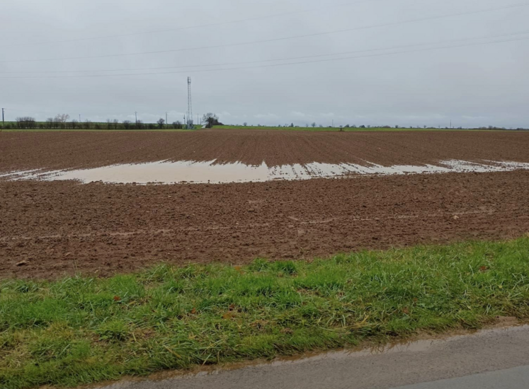 Au vu de la pluviométrie (1000 mm annuels dépassés en Deux-Sèvres la semaine dernière), nombreux sont les assolements qui n'ont pas pu être mis en œuvre comme prévu.