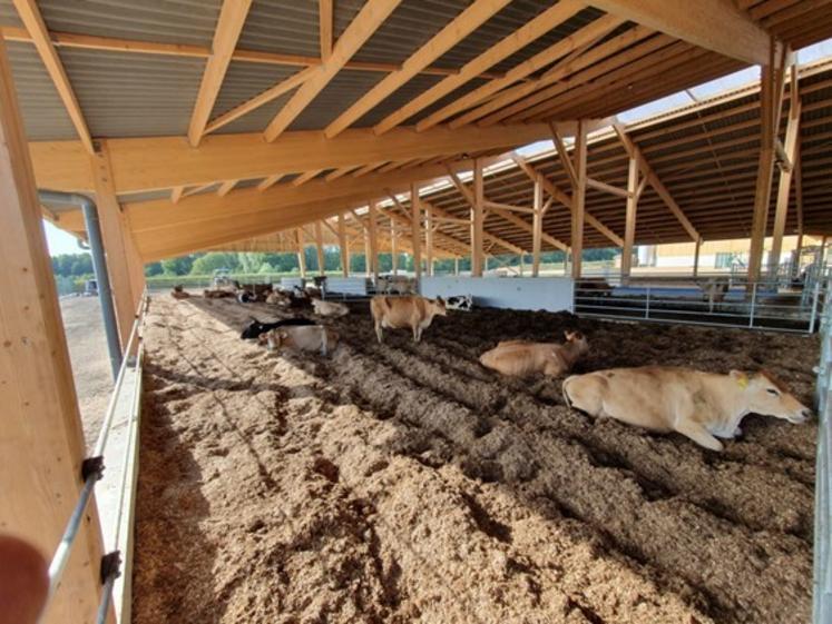 Les soins aux animaux sont réalisés durant la traite par le vacher, qui supervise le fonctionnement des robots.