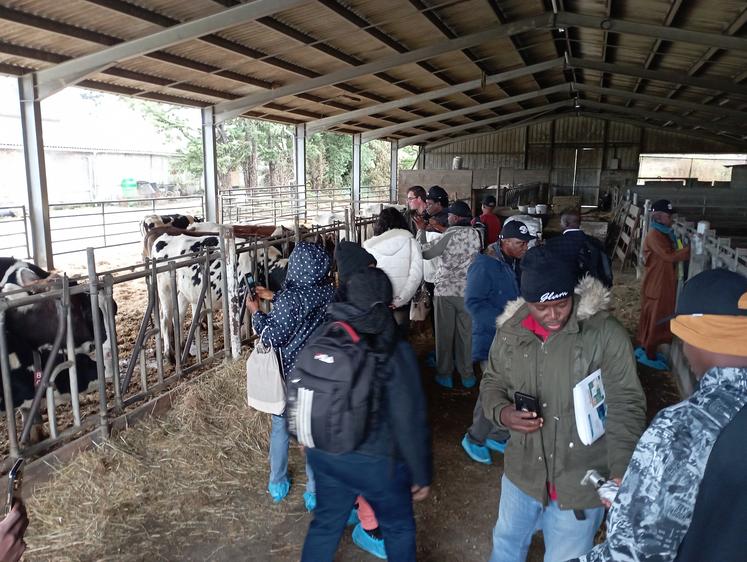 La gestion de l'exploitation laitière fait partie des sujets qui ont intéressé les douze visiteurs nigérians.