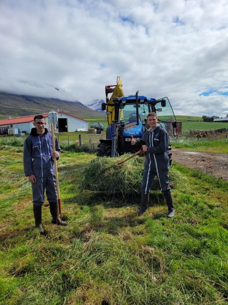 En 2022, Ilane et Clément sont partis en stage pendanttrois semaines en Islande, dans une exploitation laitière.