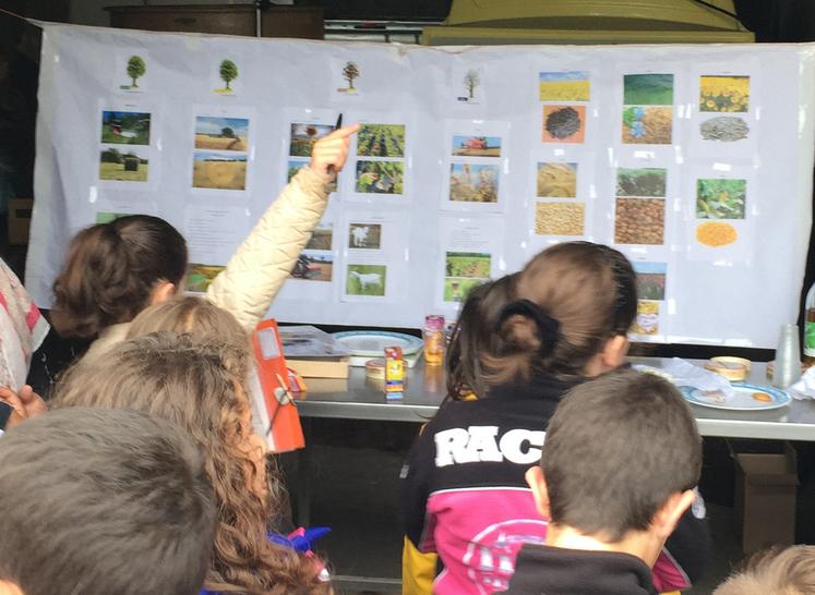 L'observatoire va chercher à améliorer la qualité de l'enseignement dans les écoles des territoires ruraux.