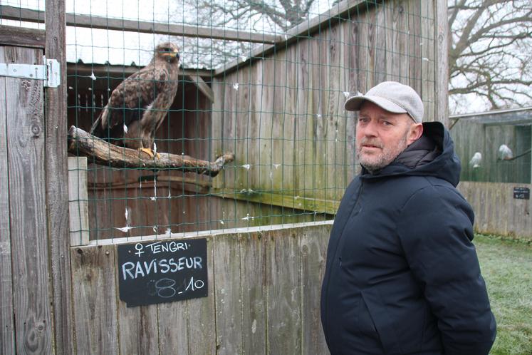 Pendant la période hivernale, c'est repos pour les volatiles, explique Simon Thuriet.