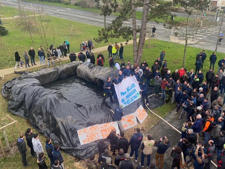 Mardi, les manifestants de la FNSEA, des JA et de l'Adiv, ont installé une réserve devant la permanence de Lisa Belluco.