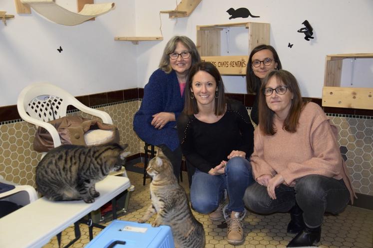 Les présidentes de l'association des Trois P'tits Chats-Rentais : Christelle et Patricia Couratier, Gabrielle Moncond'huy, et une bénévole : Aurélie.