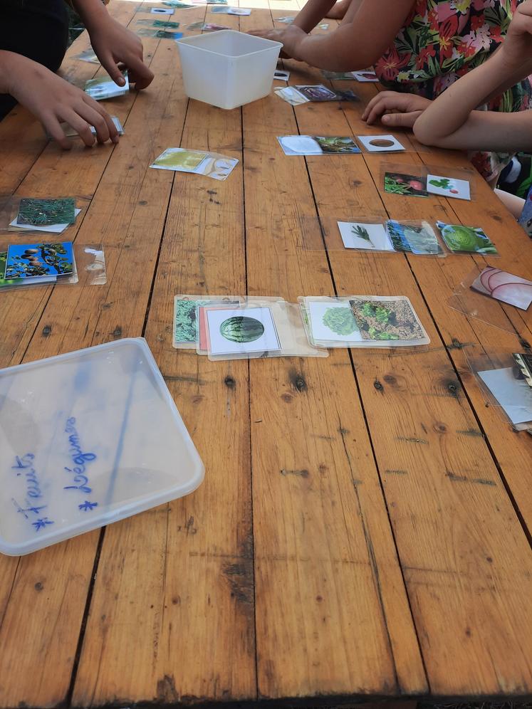 Parmi les animations, jeux de cartes.