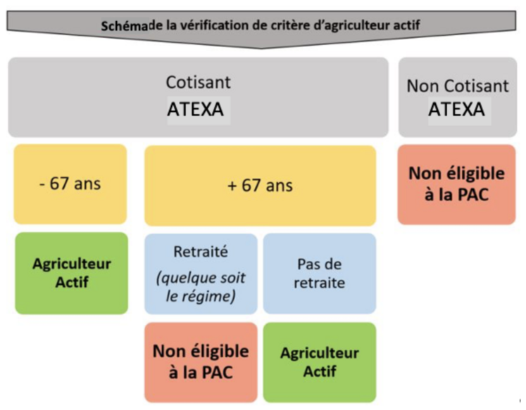 Pour percevoir les aides Pac, il faut être agriculteur actif. L'atexa, l'âge (+ ou - de 67 ans) et le statut de retraité ou non, conditionne la définition de l'agriculteur actif.