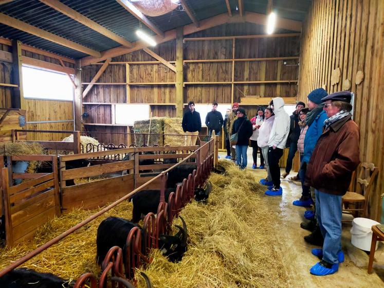 L'assemblée générale de l'association pour la défense et le développement de la chèvre poitevine a débuté par la visite  de Ferme de la Bonnellerie à Chalandray.