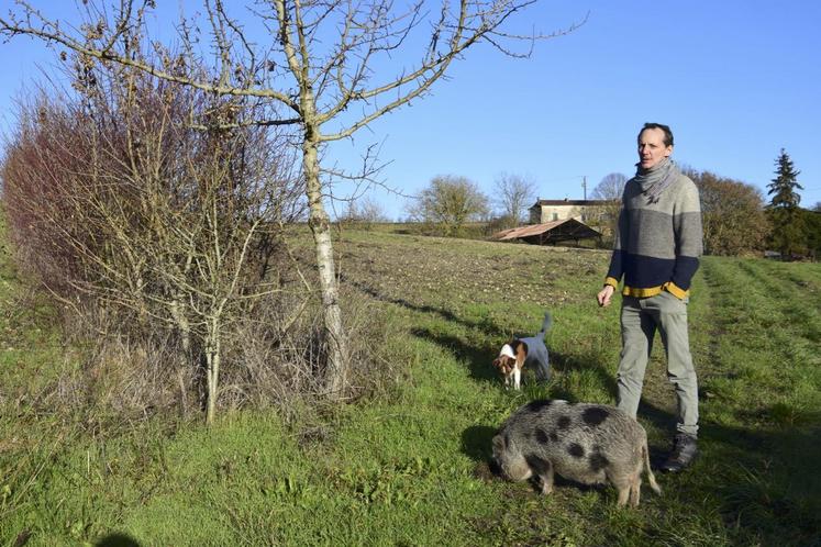 Benjamin Hovart présente une haie plantée il y a quelques années. Bientôt derrière lui, ce sont des arbres qui se dresseront au milieu de son champ.