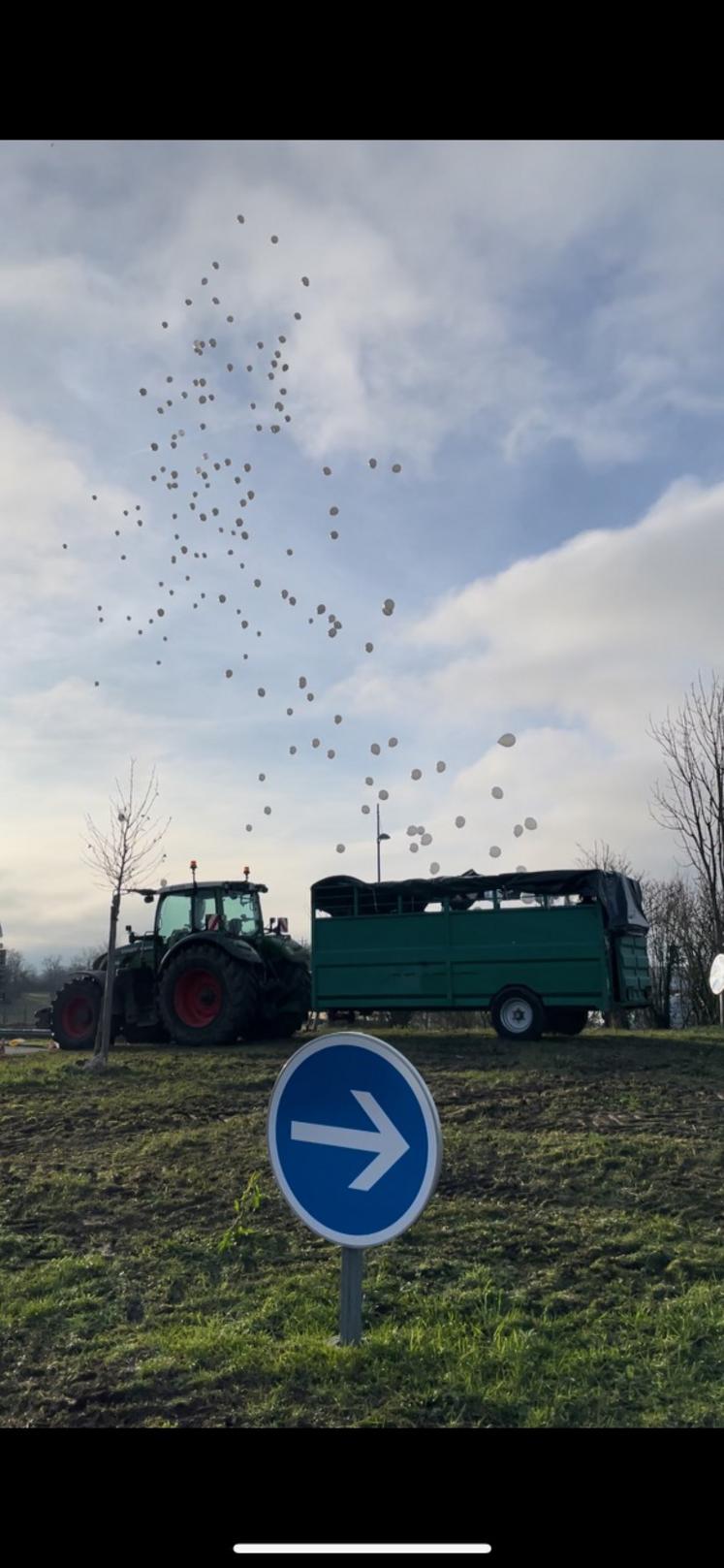 Un lâcher de ballons et une marche blanche étaient organisés samedi en hommage à l'agricultrice et sa fille décédées.