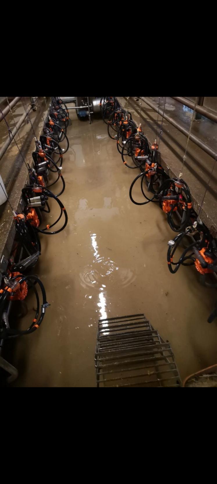 La salle de traite de Mickaël Rousselot, à Melle, a inondé plusieurs fois cet hiver.