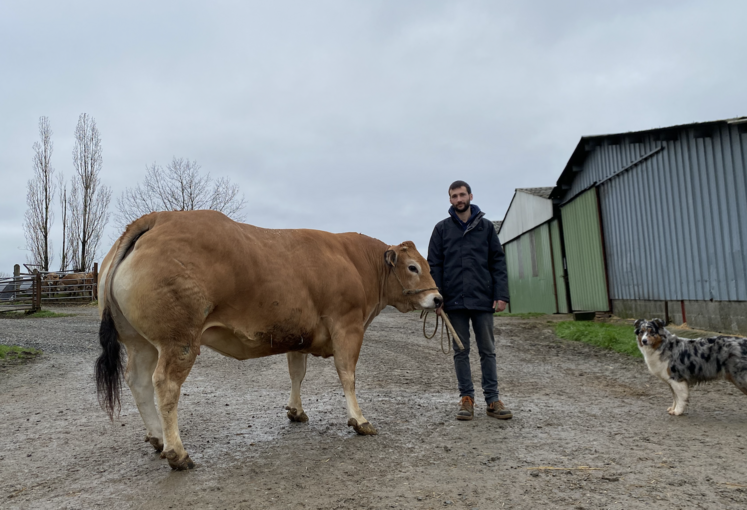 Installé depuis 2016 sur le Gaec familial à Saint-Georges-de-Noisné, Loïc Hubert présentera pour la première fois un animal au salon. Il s'agit de Pivoine, 4 ans et Label Rouge.