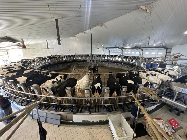 Salle de traite rotative de l'exploitation Granja San José.
