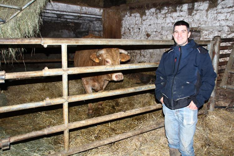 Stéphane Naffréchoux rentre ses vaches en bâtiment uniquement au moment des vêlages.