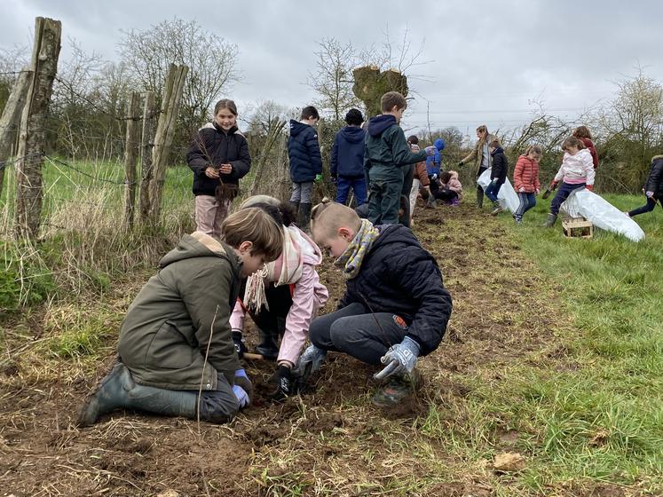 Vingt-trois élèves d'une petite dizaine d'année de l'école Roger-Vasseur de La Ferrière-en-Parthenay se sont prêtés au jeu de la plantation