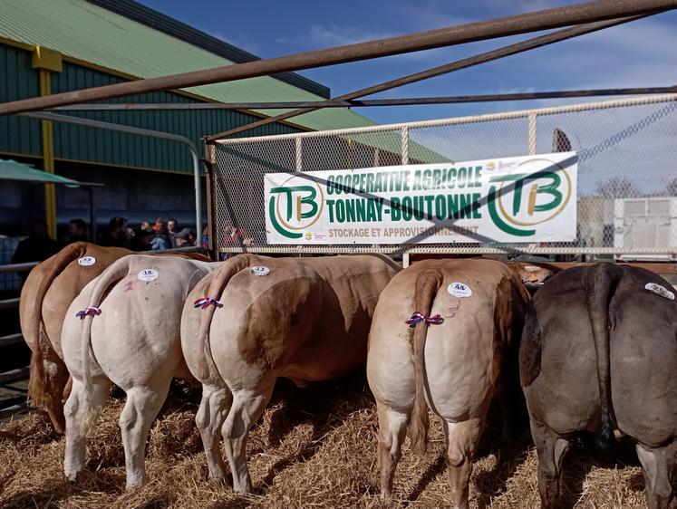 L'édition 2024 a rassemblé moins d'animaux, mais la qualité est toujours là.