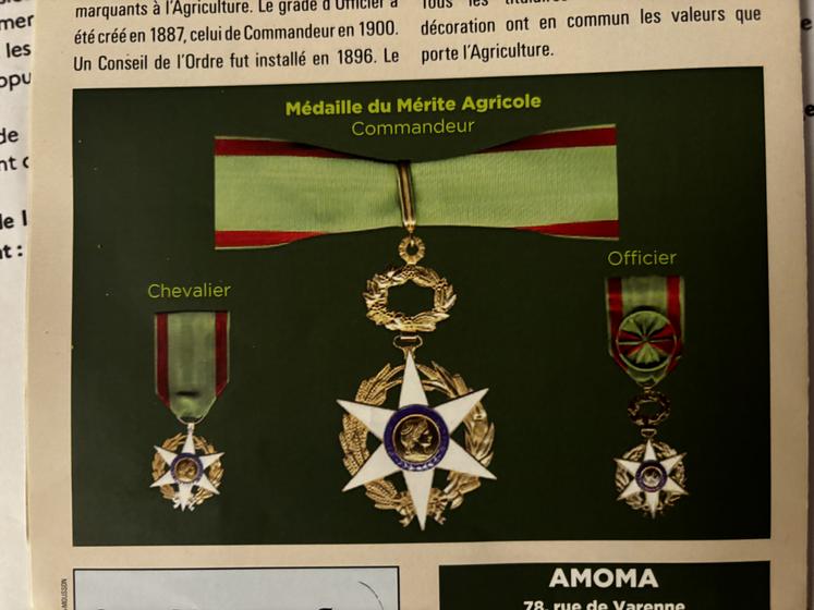 L'ordre compte trois grades de médaille.