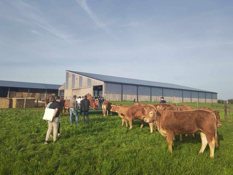 Le Gaec Rimbault-Brassac, à Saint-Maxire, a présenté son site récemment délocalisé et son troupeau.